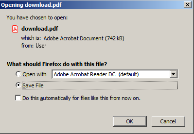 Save PDF Window